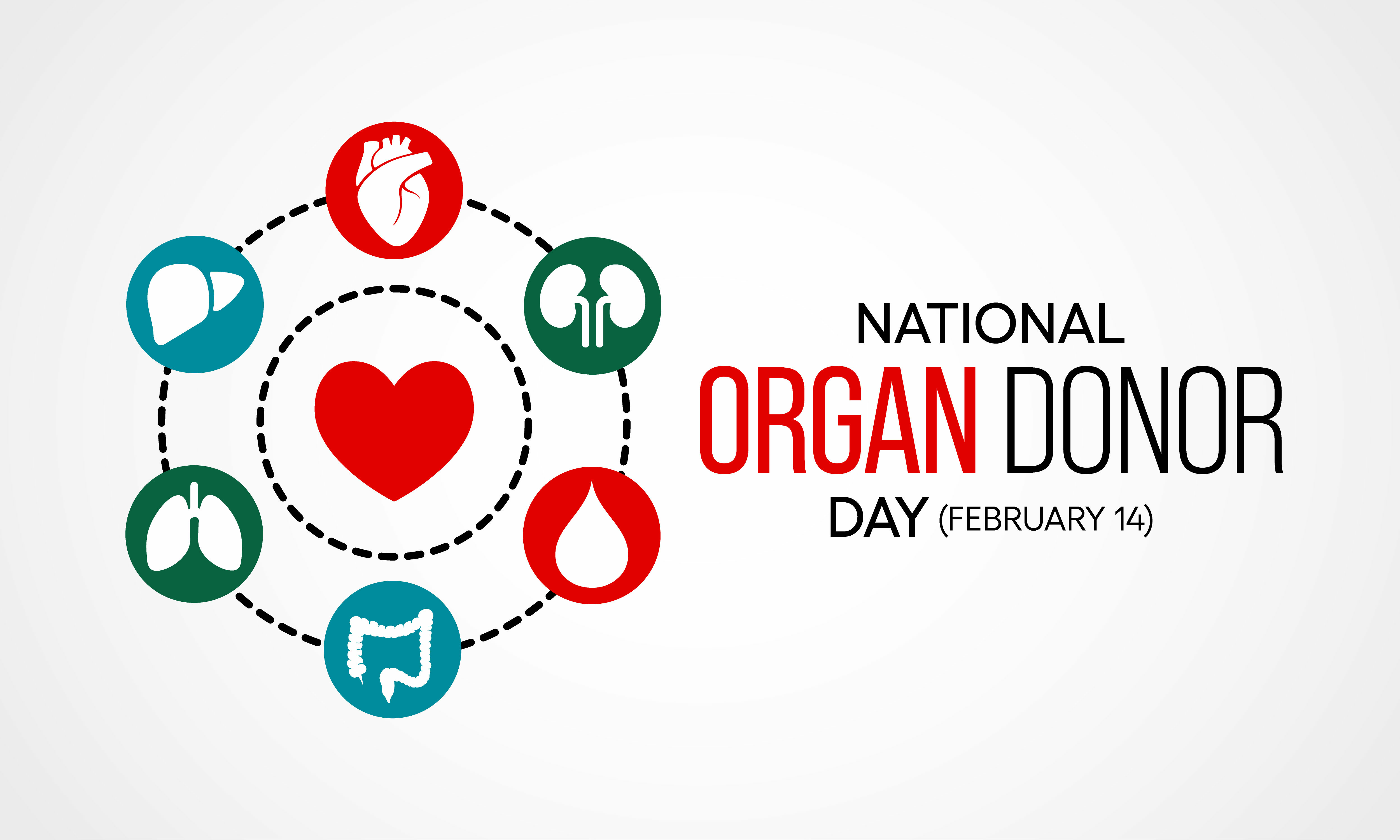 National Organ Donor Day February 14th